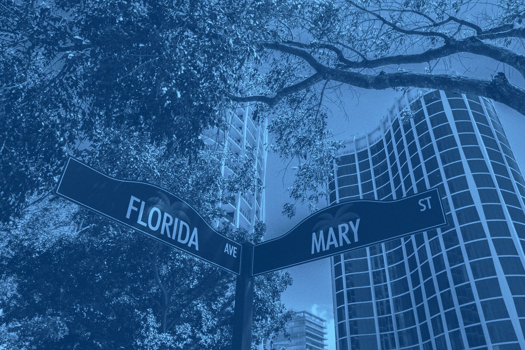 Florida Avenue and Mary Street, Coconut Grove, Miami — RSG brand cyanotype